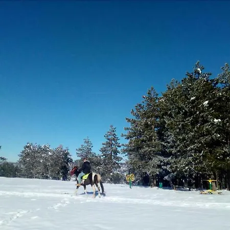 Semesterbostad Vikendica Mm *
